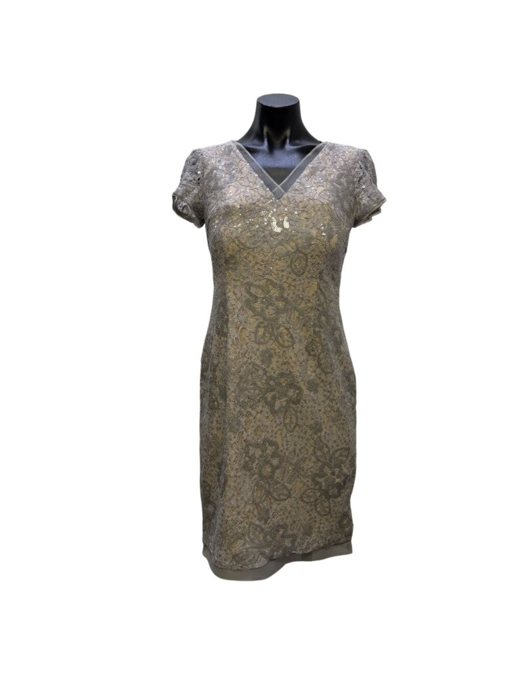 Adrianna Papell Gray Nude Lace Sequin Sheath Dress Size 6